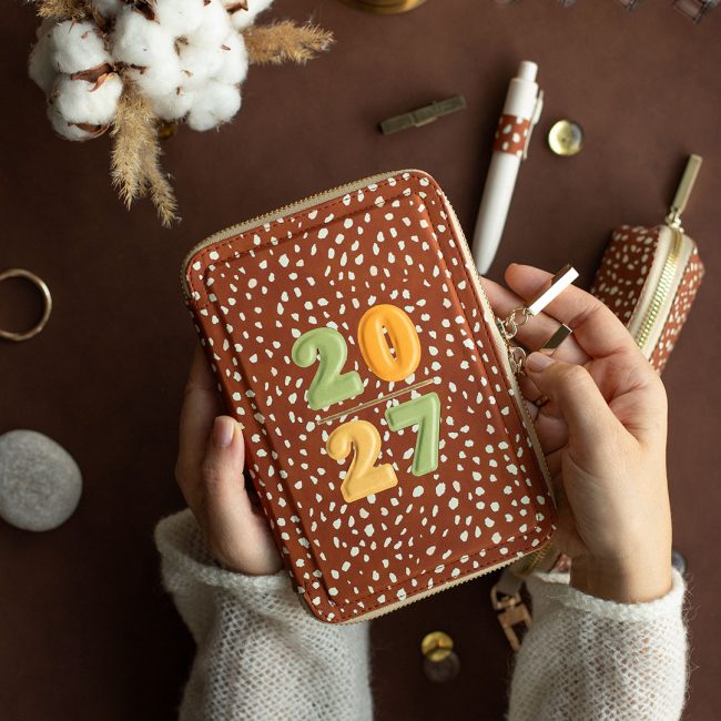 Планер в переплете на молнии